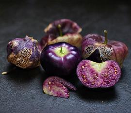   Fruits:   Physalis philadelphica ; Photo by Barney Wrightson, flickr.com
